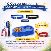 Kit Primeiro Cachorro Acessórios Filhote Comedouro Guia - Macho