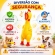 Kit Primeiro Cachorro Acessórios Filhote Comedouro Guia - Macho