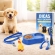 Kit Primeiro Cachorro Acessórios Filhote Comedouro Guia - Macho