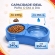 Kit Primeiro Cachorro Acessórios Filhote Comedouro Guia - Macho