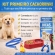 Kit Primeiro Cachorro Acessórios Filhote Comedouro Guia - Macho
